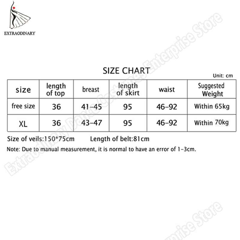 New Women Indian Belly Dance Costume Set Dance Sari Outfit Bollywood Stage Performance Chiffon Top Belt Skirt