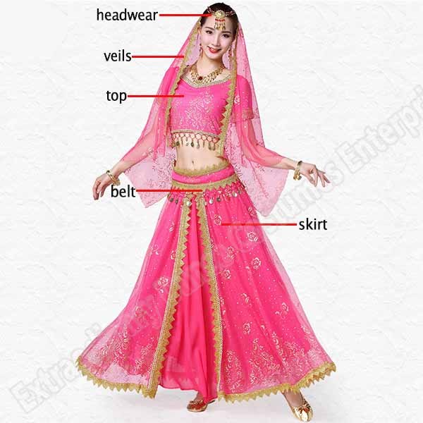 New Women Indian Belly Dance Costume Set Dance Sari Outfit Bollywood Stage Performance Chiffon Top Belt Skirt