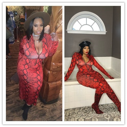 Echoine Sexy Snake Print Bodycon Long Dress Long Sleeve Zipper Women Autumn Evening Party Night Dress