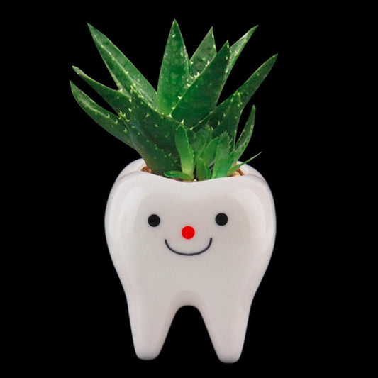 Bonsai Plants Ceramic Flower Pot DIY Small Succulent Planter Tooth Design 7*6*6cm